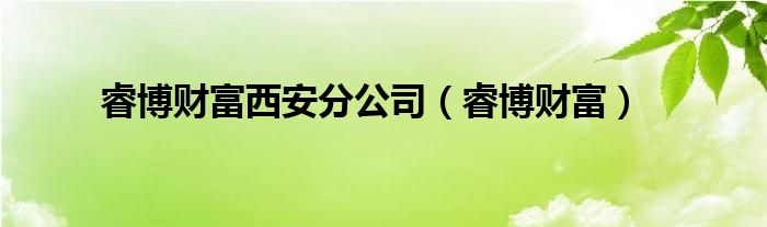  睿博财富西安分公司（睿博财富）