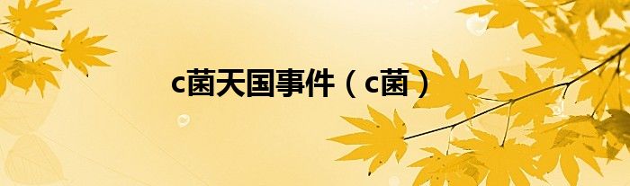  c菌天国事件（c菌）