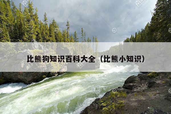 比熊狗知识百科大全（比熊小知识）