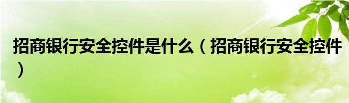 招商银行安全控件是什么（招商银行安全控件）