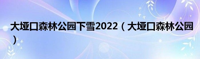  大垭口森林公园下雪2022（大垭口森林公园）