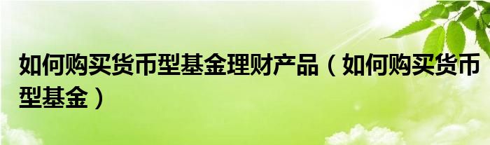  如何购买货币型基金理财产品（如何购买货币型基金）