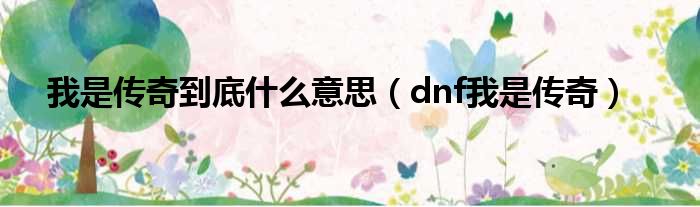 我是传奇到底什么意思（dnf我是传奇）