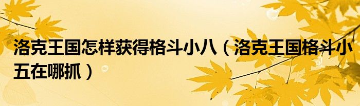  洛克王国怎样获得格斗小八（洛克王国格斗小五在哪抓）