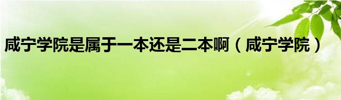  咸宁学院是属于一本还是二本啊（咸宁学院）