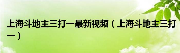  上海斗地主三打一最新视频（上海斗地主三打一）