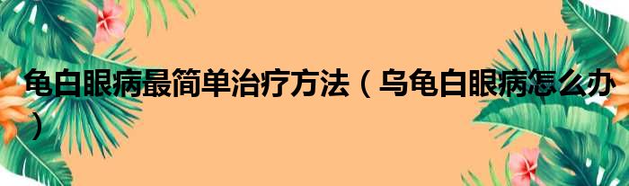 龟白眼病最简单治疗方法（乌龟白眼病怎么办）