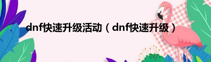 dnf快速升级活动（dnf快速升级）