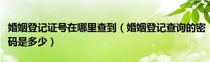  婚姻登记证号在哪里查到（婚姻登记查询的密码是多少）