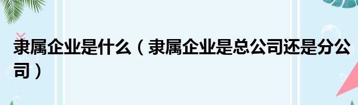 隶属企业是什么（隶属企业是总公司还是分公司）