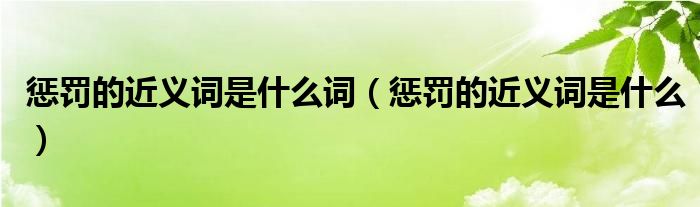  惩罚的近义词是什么词（惩罚的近义词是什么）