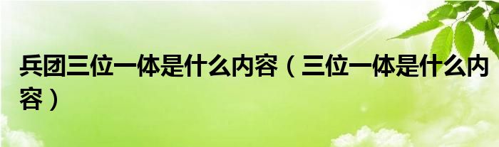  兵团三位一体是什么内容（三位一体是什么内容）