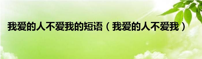  我爱的人不爱我的短语（我爱的人不爱我）