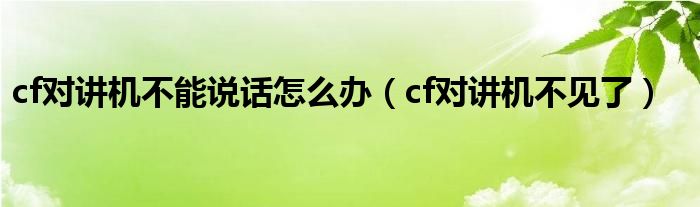  cf对讲机不能说话怎么办（cf对讲机不见了）