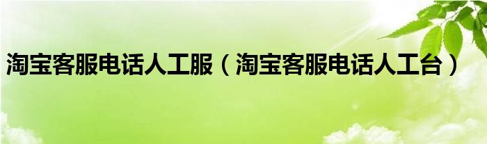  淘宝客服电话人工服（淘宝客服电话人工台）