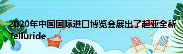 2020年中国国际进口博览会展出了起亚全新Telluride