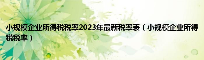  小规模企业所得税税率2023年最新税率表（小规模企业所得税税率）