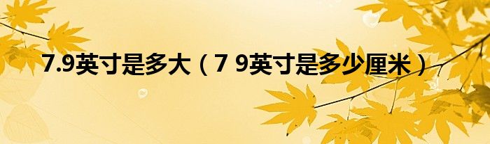  7.9英寸是多大（7 9英寸是多少厘米）