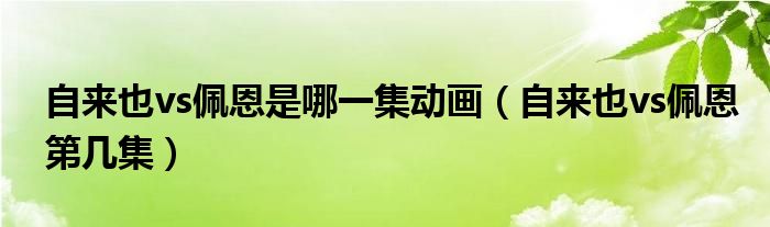  自来也vs佩恩是哪一集动画（自来也vs佩恩第几集）