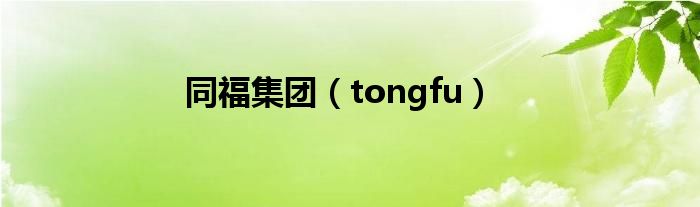  同福集团（tongfu）