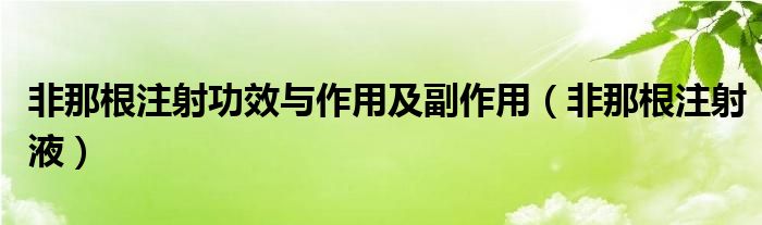  非那根注射功效与作用及副作用（非那根注射液）