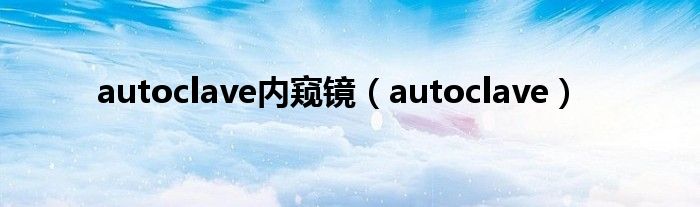  autoclave内窥镜（autoclave）