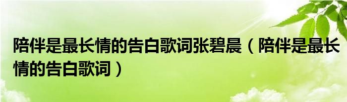  陪伴是最长情的告白歌词张碧晨（陪伴是最长情的告白歌词）