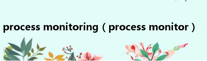 process monitoring（process monitor）