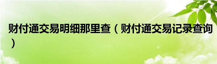  财付通交易明细那里查（财付通交易记录查询）