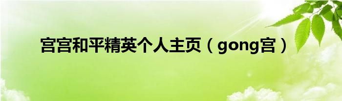  宫宫和平精英个人主页（gong宫）