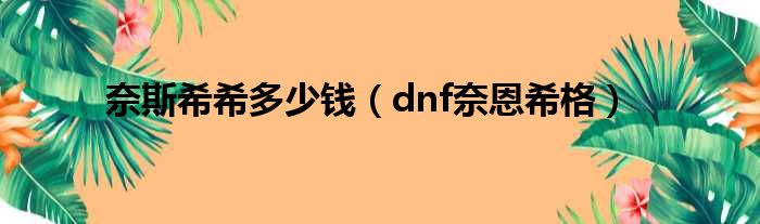 奈斯希希多少钱（dnf奈恩希格）