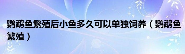 鹦鹉鱼繁殖后小鱼多久可以单独饲养（鹦鹉鱼繁殖）