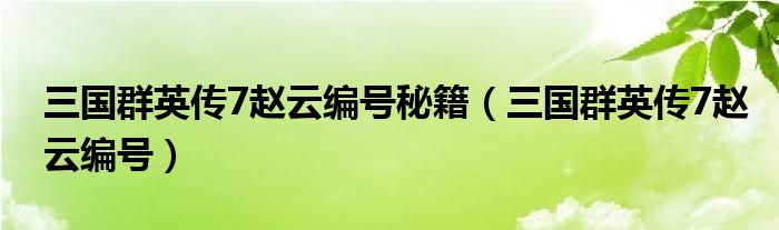  三国群英传7赵云编号秘籍（三国群英传7赵云编号）