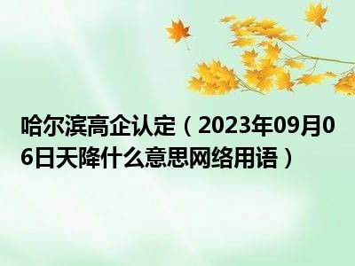 哈尔滨高企认定（2023年09月06日天降什么意思网络用语）