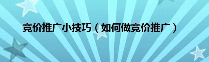  竞价推广小技巧（如何做竞价推广）