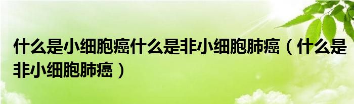  什么是小细胞癌什么是非小细胞肺癌（什么是非小细胞肺癌）