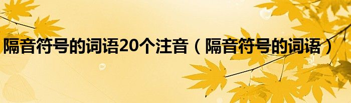  隔音符号的词语20个注音（隔音符号的词语）