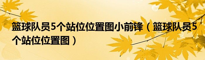  篮球队员5个站位位置图小前锋（篮球队员5个站位位置图）