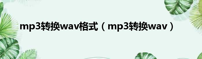 mp3转换wav格式（mp3转换wav）