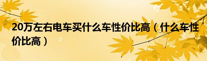  20万左右电车买什么车性价比高（什么车性价比高）