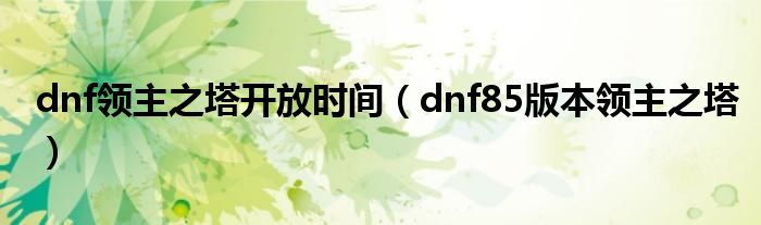  dnf领主之塔开放时间（dnf85版本领主之塔）