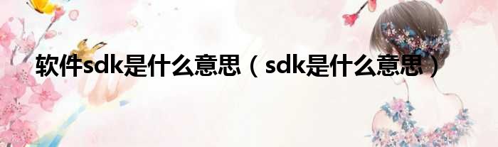 软件sdk是什么意思（sdk是什么意思）