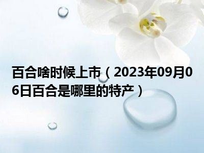 百合啥时候上市（2023年09月06日百合是哪里的特产）