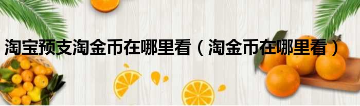 淘宝预支淘金币在哪里看（淘金币在哪里看）