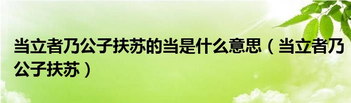  当立者乃公子扶苏的当是什么意思（当立者乃公子扶苏）