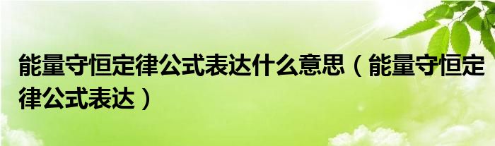 能量守恒定律公式表达什么意思（能量守恒定律公式表达）