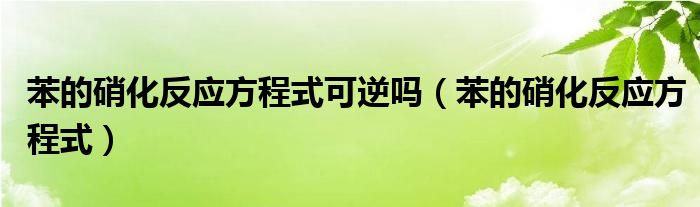  苯的硝化反应方程式可逆吗（苯的硝化反应方程式）