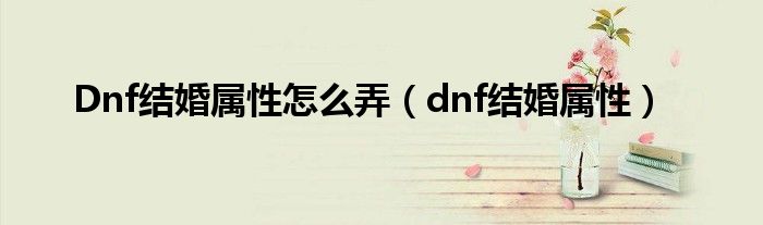  Dnf结婚属性怎么弄（dnf结婚属性）