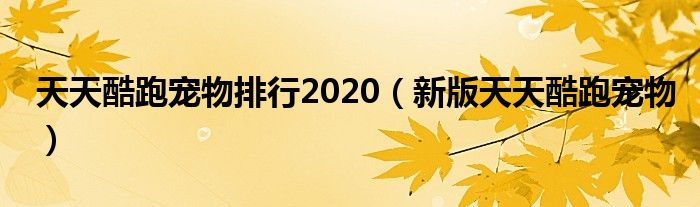  天天酷跑宠物排行2020（新版天天酷跑宠物）