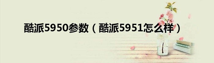  酷派5950参数（酷派5951怎么样）